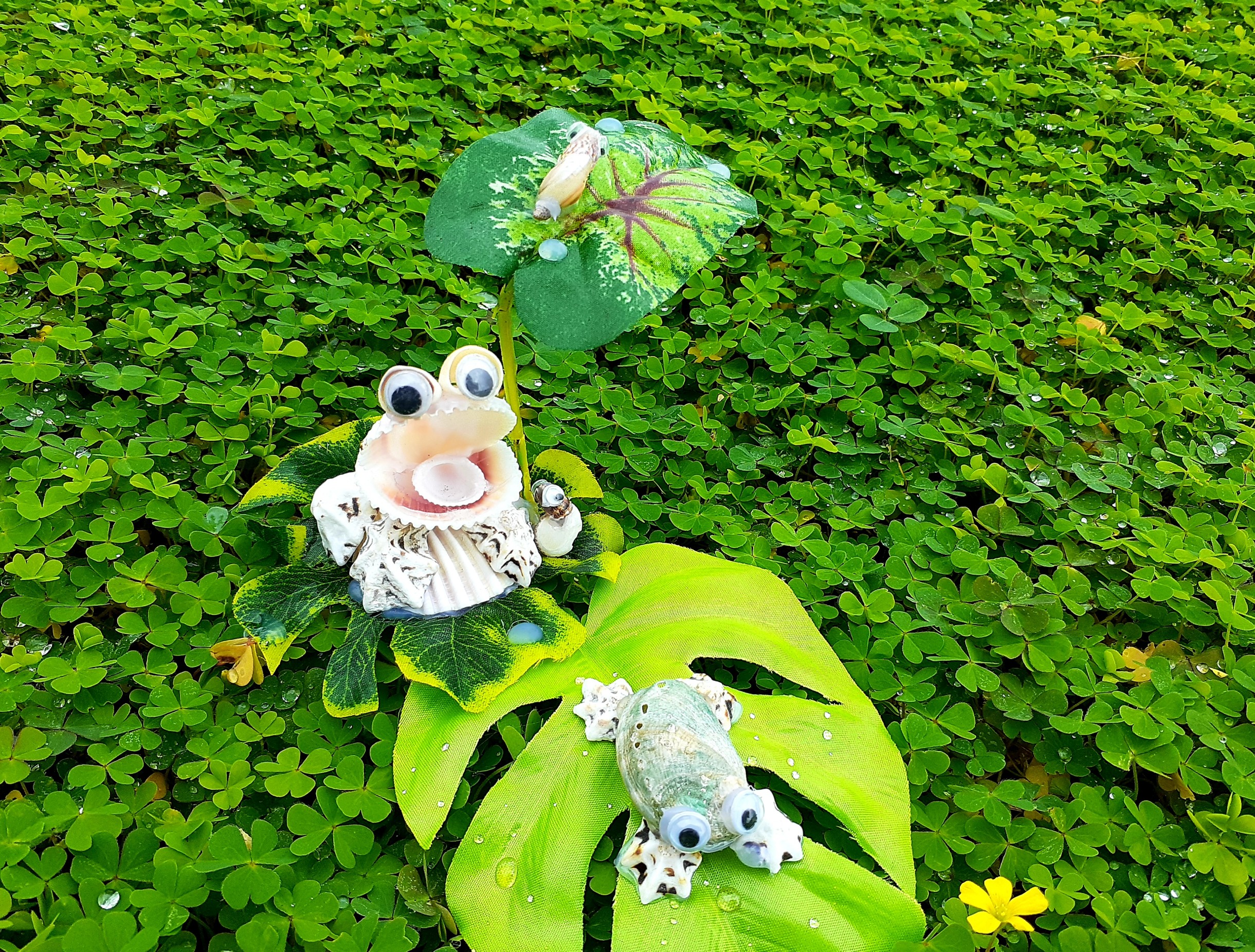 貝でつくるカエル🐸(その1） | アソビタウン宮古島海宝館