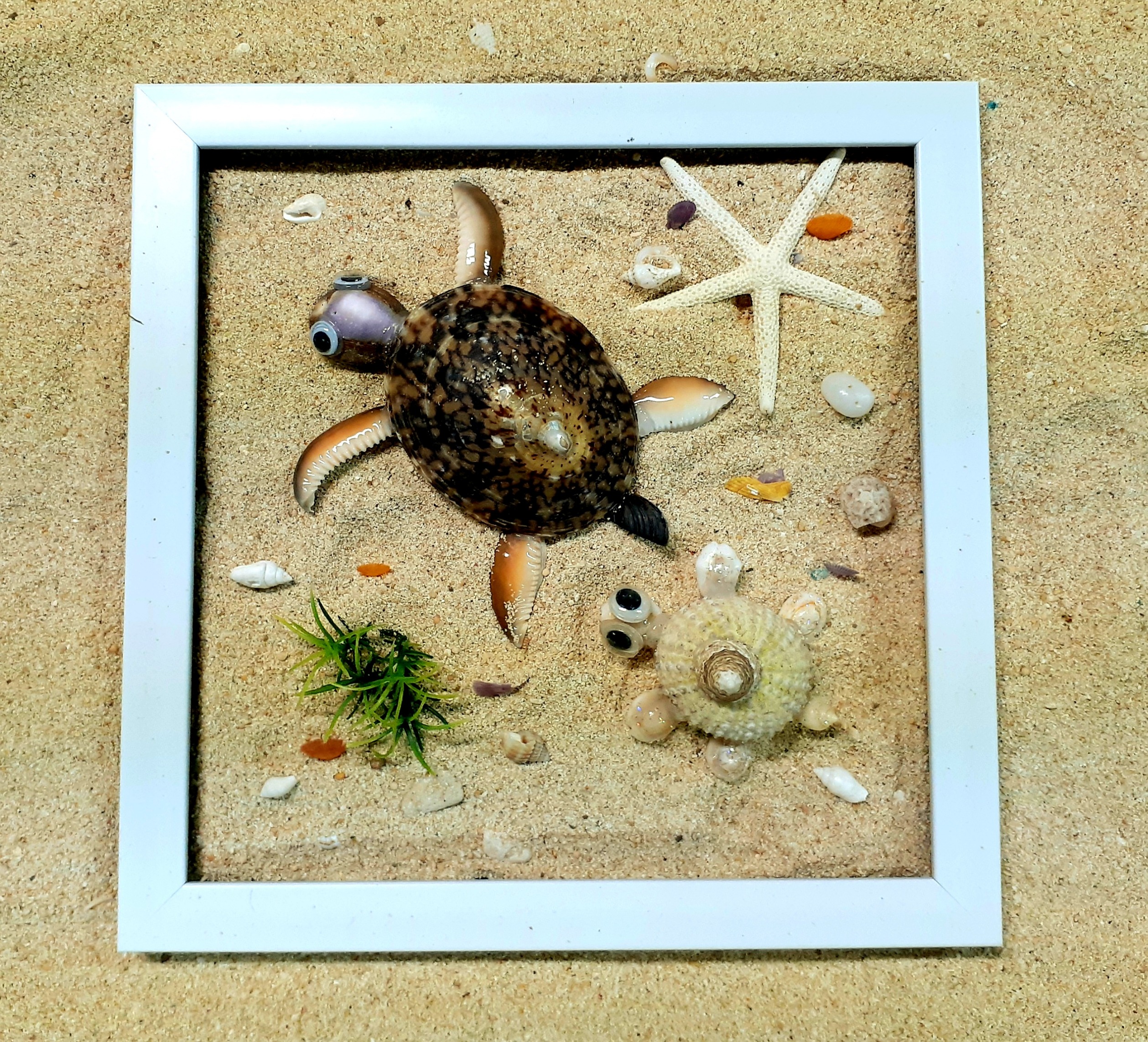 貝でつくったカメ2ひき🐢 | アソビタウン宮古島海宝館 貝でつくったカメ2ひき🐢 | アソビタウン宮古島海宝館