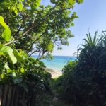 宮古島ぽかぽか日和